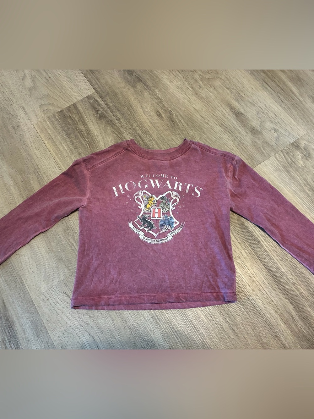 Warner Bros. Maroon Hogwarts Crest Long-Sleeve Tee